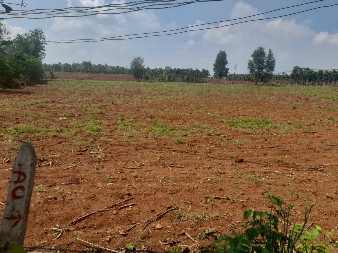 Chuyển đất 50năm lên đất thổ cư được không? Thủ tục chuyển như thế nào?