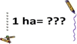 1 ha bằng bao nhiêu m2? Cách quy đổi qua công, sào, mẫu, km2