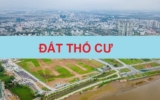 Đất thổ cư là gì? Những điều cần biết về đất thổ cư